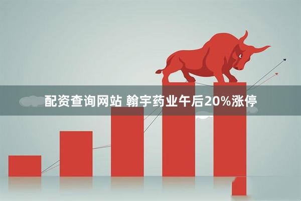 配资查询网站 翰宇药业午后20%涨停